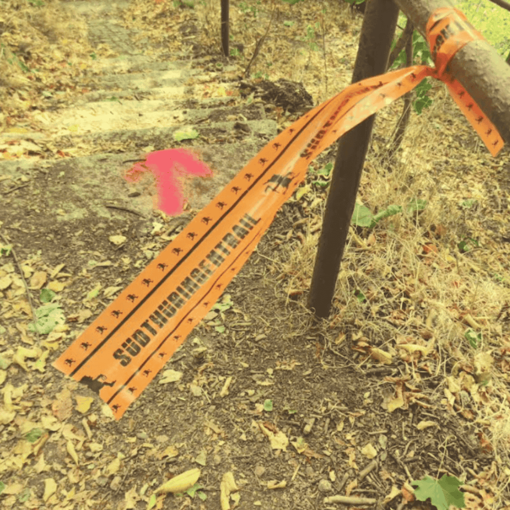 race markings in forest