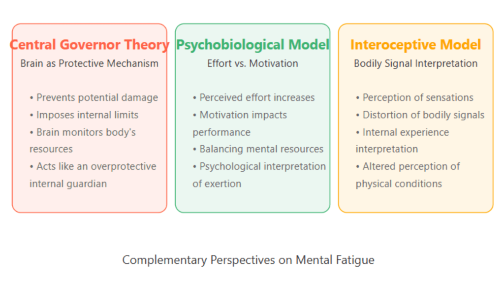 infographic showing the difference between theories of mental fatigue
