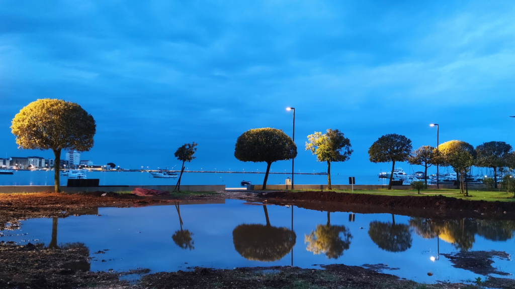 trees at the port of Umag during sunrise